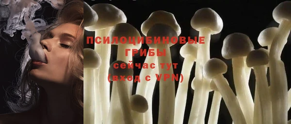 mdpv Майский