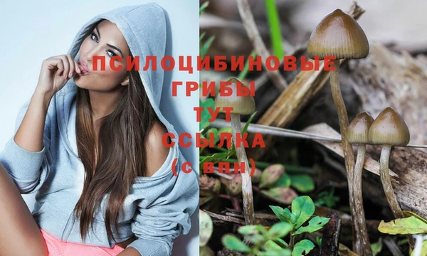 прущая мука Лиски
