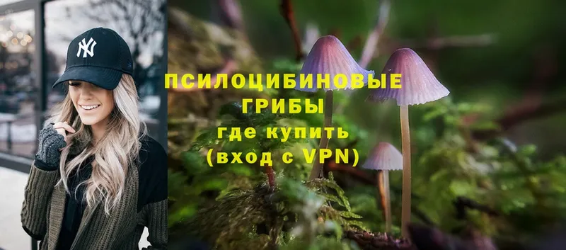 цена   Безенчук  Галлюциногенные грибы Magic Shrooms 