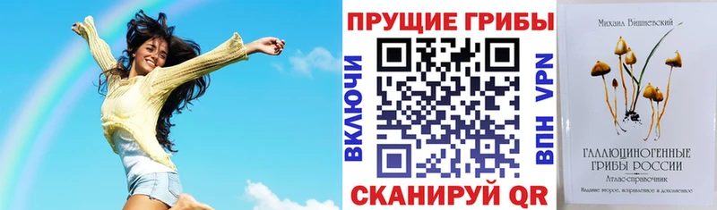 ОМГ ОМГ сайт Безенчук Псилоцибиновые грибы GOLDEN TEACHER